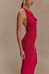 Ayella Cowl Knit Maxi Dress - Raspberry