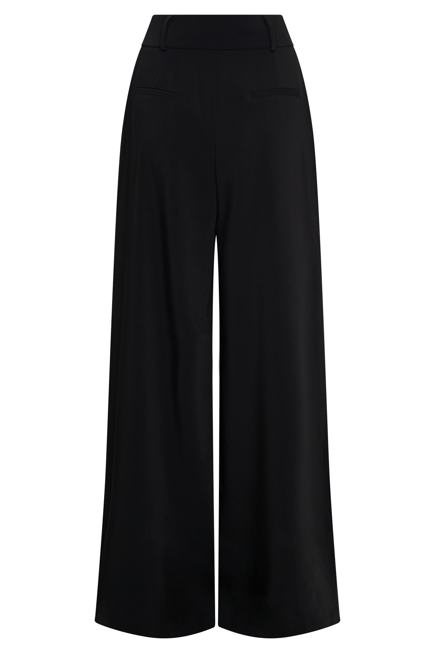 Jacqueline Pleated Wide Leg Pants - Black